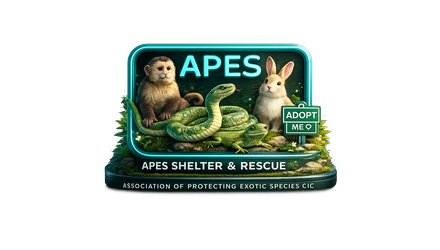 APES Shelter and Rescue logo