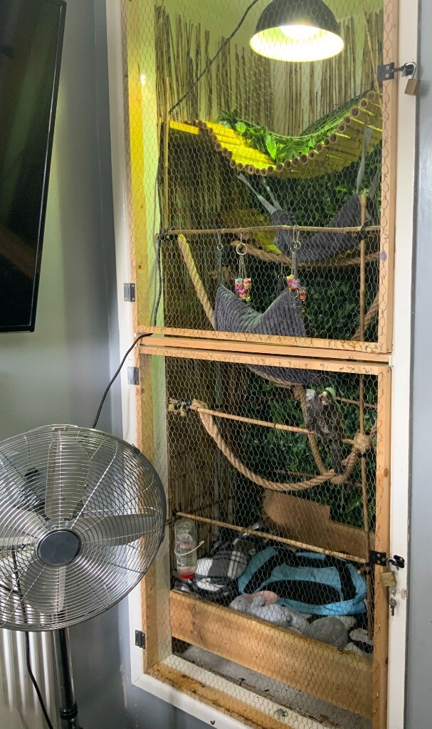 Hugo's enclosure before rescue, alternate full view