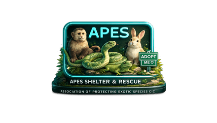 APES CIC Shelter and Rescue